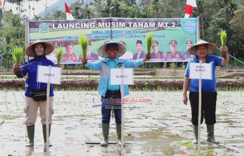 Bupati Lebong Kopli Ansori (tengah), Wabup Drs Fahrurrozi MPd (kanan) dan Pjs Kades Muning Agung Desmawati saat launching MT-2 di Desa Muning Agung, Jum'at (16/6/2023)