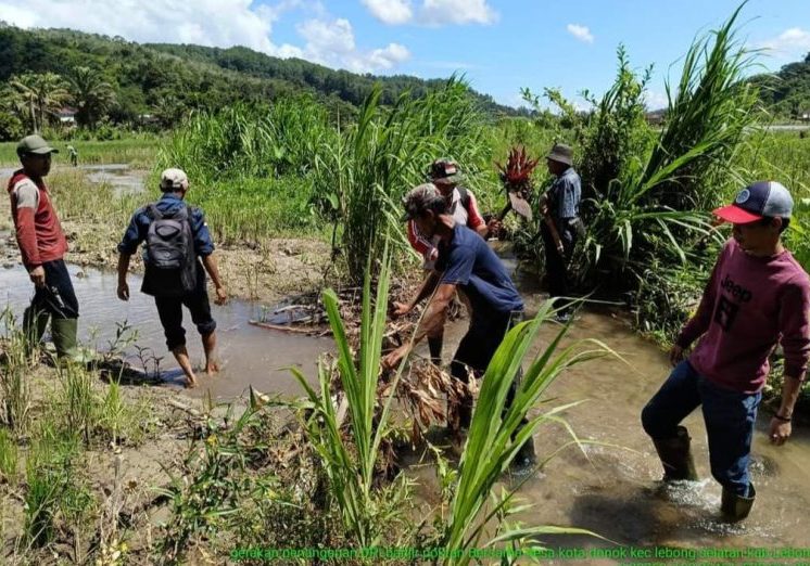 Tampak pihak Dinas Pertanian dan Perikanan (Disperkan) Kabupaten Lebong bersama-sama warga membersihkan / normalisasi lahan sawah yang diterjang banjir, Rabu (15/5/2024)